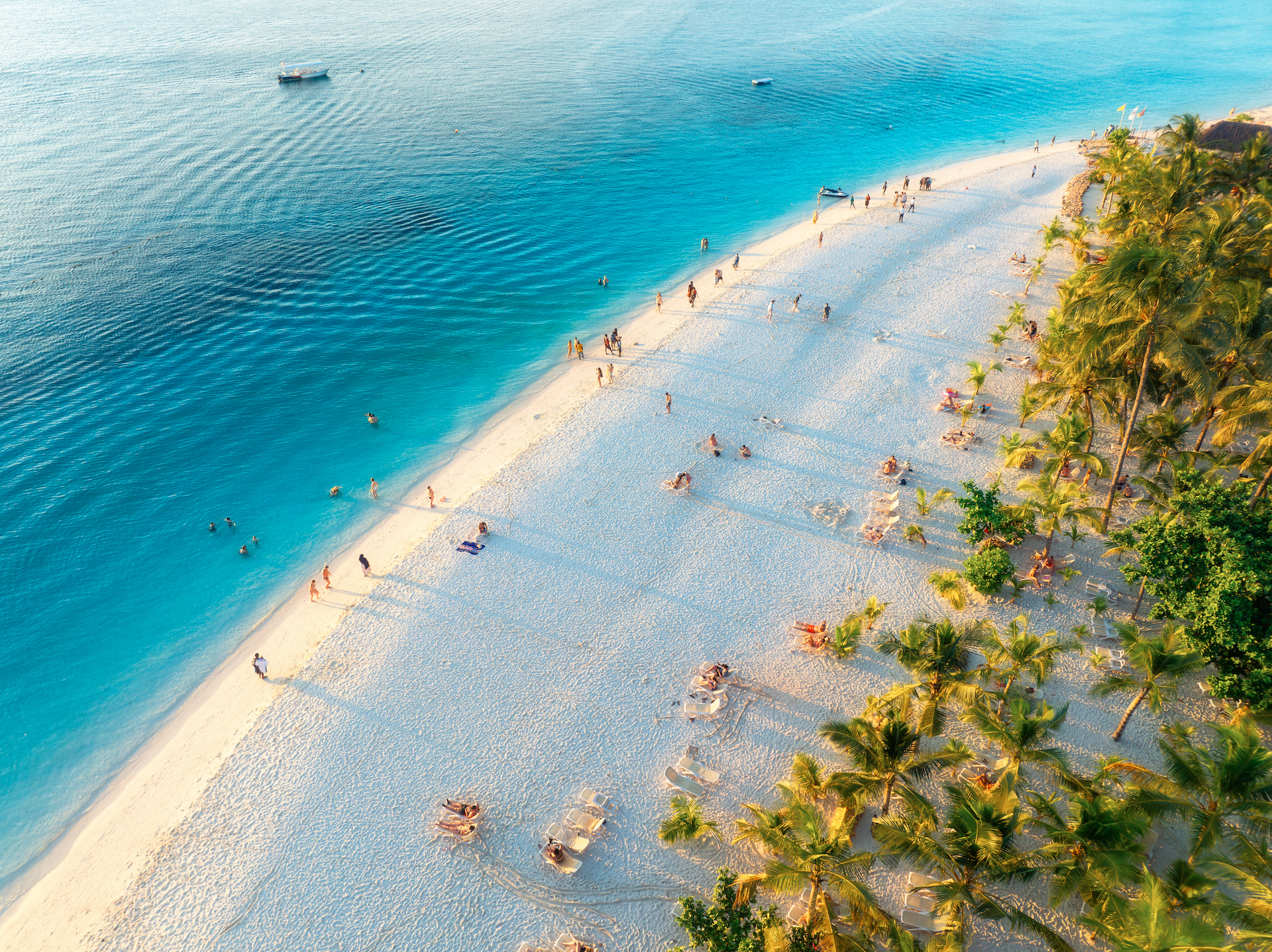 Aerial view of green palm trees, umbrellas on the sandy beach of Indian Ocean at sunset. Summer holiday in Kendwa, Zanzibar island. Tropical landscape with palms, white sand, clear blue sea. Top view