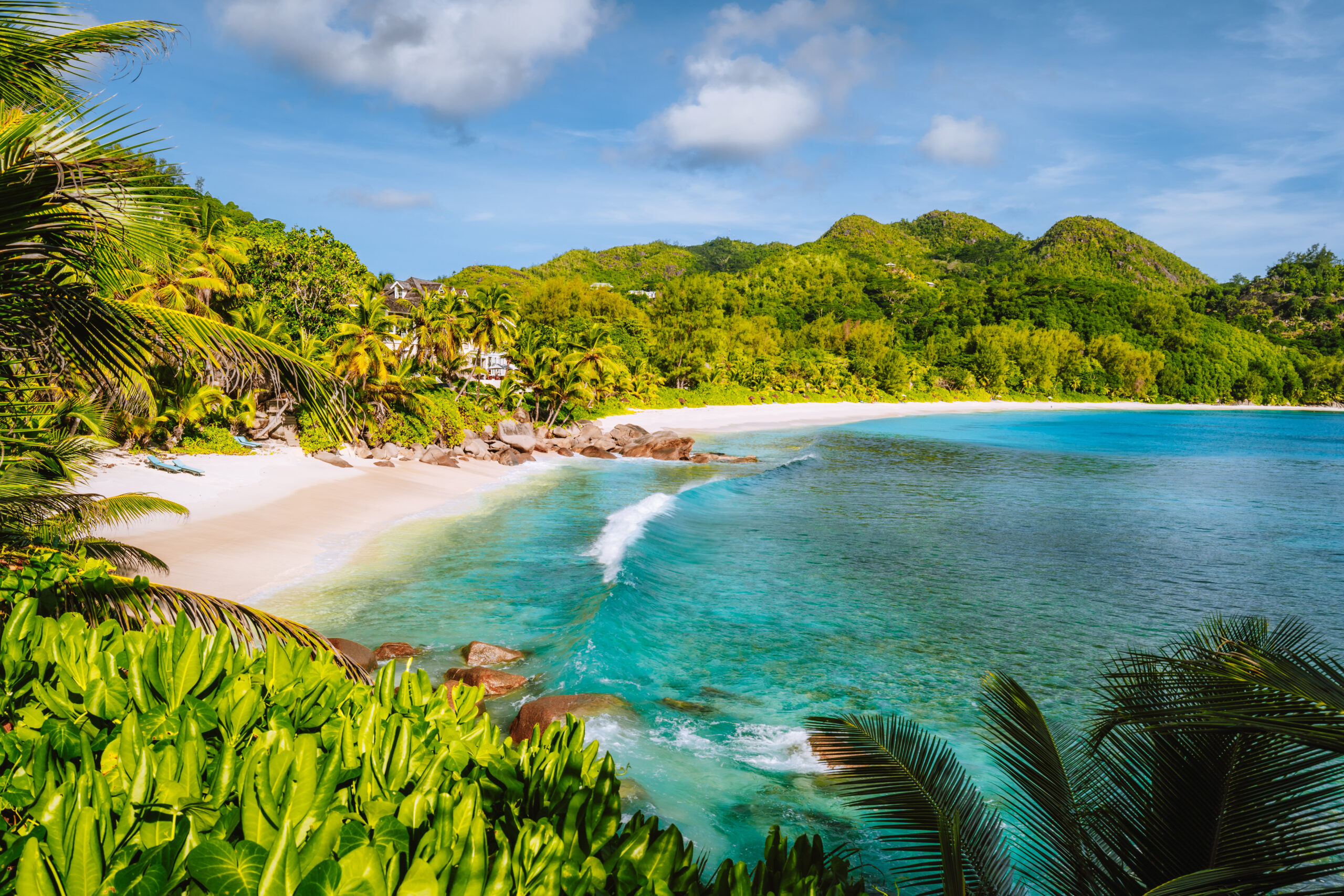 Mahe Island, Seychelles. Holiday vocation on the beautiful exotic Anse intendance tropical beach. Ocean wave rolling towards sandy beach with coconut palm trees.