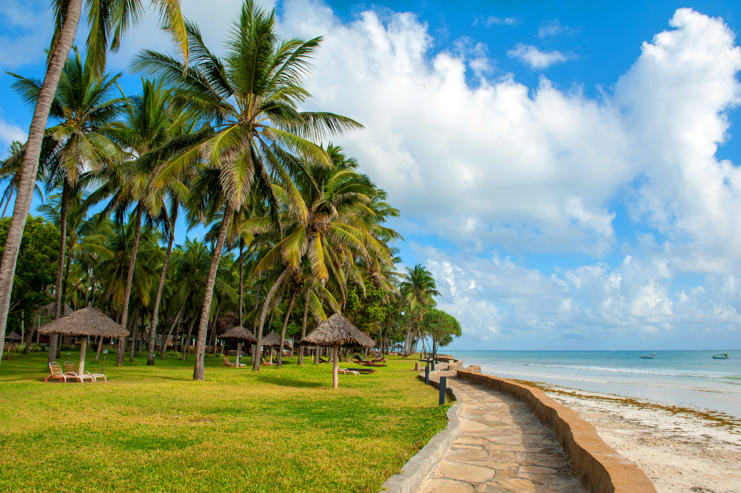 Beautiful palm trees at the beach Indian ocean