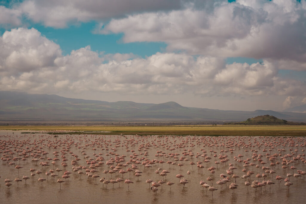 flamingo-lake-2024-12-06-13-44-30-utc